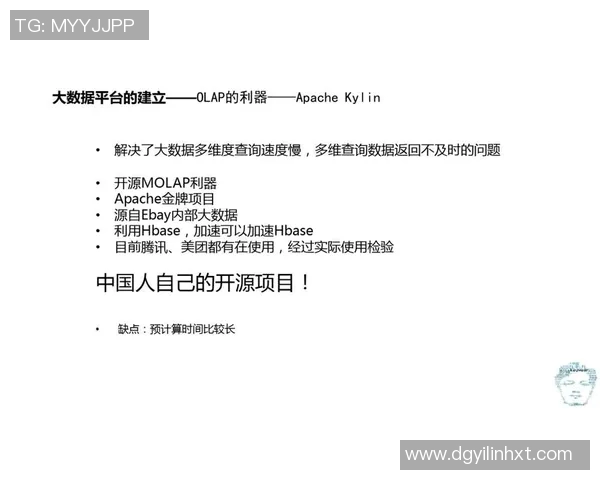 深入探讨北京排球队的技术表现与数据分析结果 深入探讨北京排球队的技术表现与数据分析结果