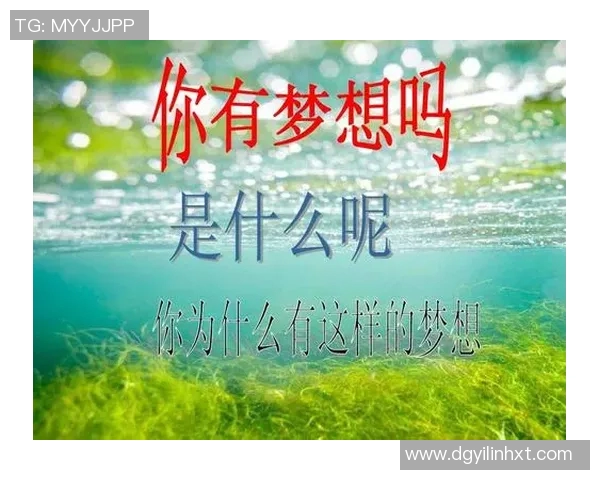 羽毛球场上的奋斗与梦想：刘静的深度人生对话