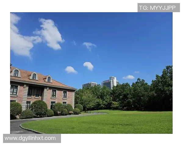 上海排球队在洲际杯中的蜕变与未来发展之路探讨