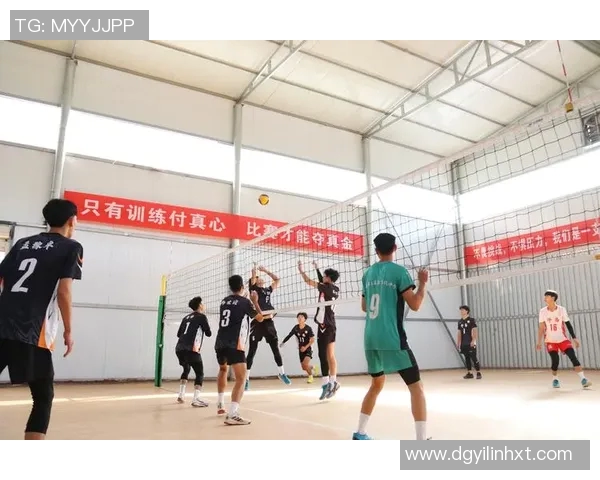 上海排球队实力引发热议球迷观点大碰撞与分析