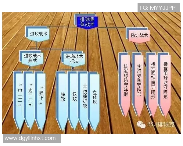 杭州排球队整体压制打法的深度分析与战术解读