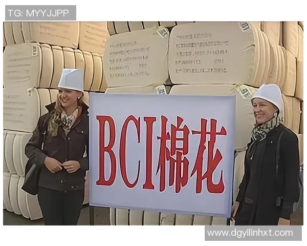 足球明星海冬事件引发的舆论风波与社会反思分析 足球明星海冬事件引发的舆论风波与社会反思分析