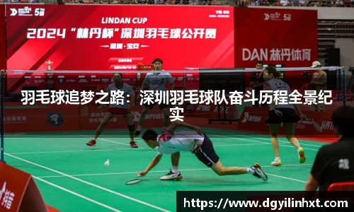羽毛球追梦之路：深圳羽毛球队奋斗历程全景纪实