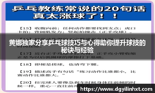 黄娜独家分享乒乓球技巧与心得助你提升球技的秘诀与经验
