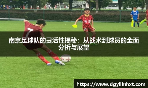 南京足球队的灵活性揭秘：从战术到球员的全面分析与展望