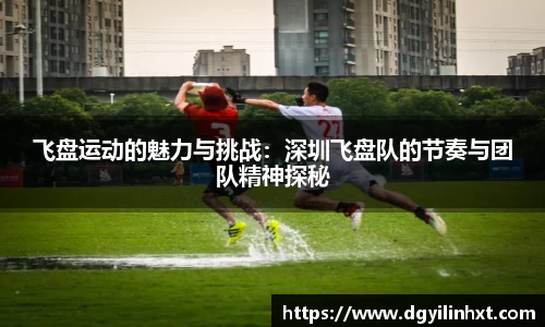 飞盘运动的魅力与挑战：深圳飞盘队的节奏与团队精神探秘